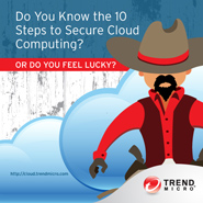 Cowboy Infosnippet